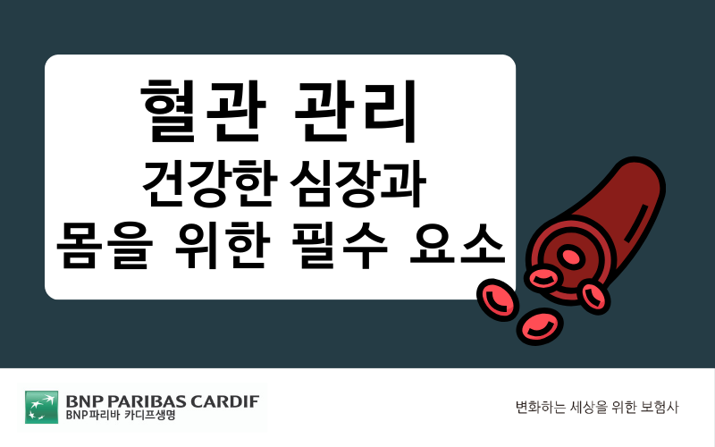 혈관관리 건강한 심장과 몸을 위한 필수요소 썸네일